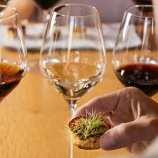 Bodegas Torres: Visita guiada + Maridaje de vinos y tapas 6