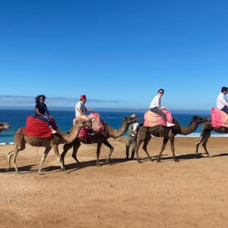 Tánger: Excursión guiada de un día desde Sevilla + Paseo en ferry + Almuerzo 23