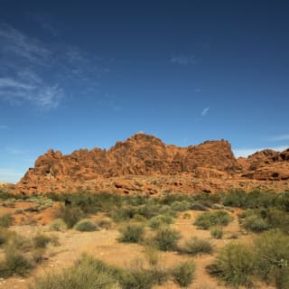 Randonnée dans le Valley of Fire 5