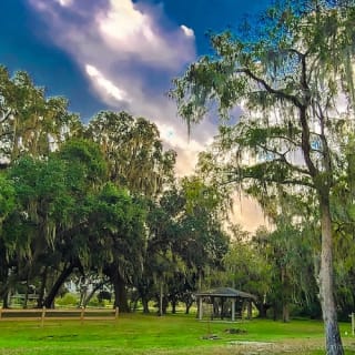 Everglades at Night: 1-Hour Boggy Creek Airboat Tour 7