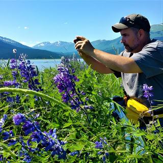 Anchorage to Wilderness Wildlife Glacier Value 11