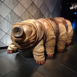 Micropia : découvrez la vie invisible (skip-the-line) 4