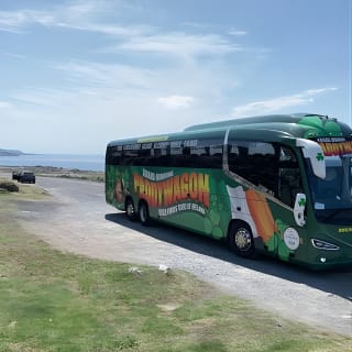 Cliffs of Moher Day Tour from Limerick: Including The Wild Altanic Way 8