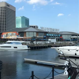 Electric Bike Rental Downtown Norfolk (self guided tour) 10