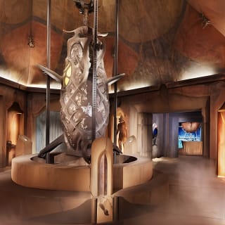 Skip the Line: ingresso per Lost Chambers da Atlantis The Palm 6