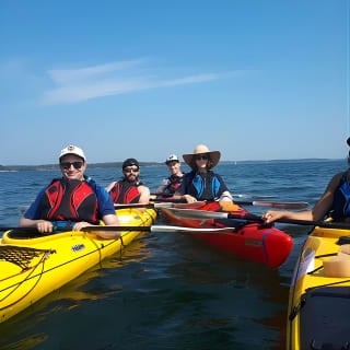 Stockholm Archipelago Kayaking Day Tour 11