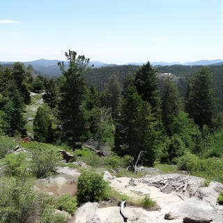 Hike the Rockies Half Day Tour 9