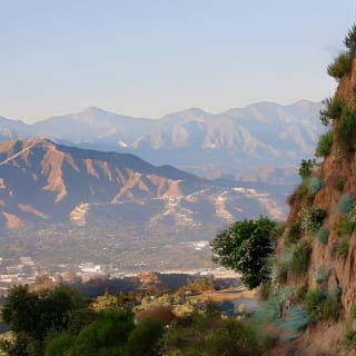 El Tour Premier del Letrero de Hollywood: Naturaleza en el corazón de la ciudad 3