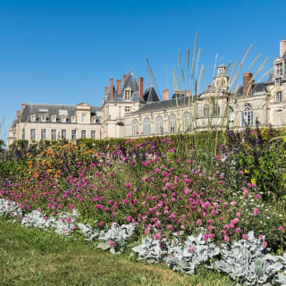 Visite du Château de Fontainebleau 8