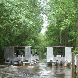Jean Lafitte Swamp and Bayou Tour 4