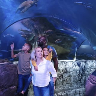 Shrek's Adventure! London + London Eye + Madame Tussauds London + SEA LIFE London Aquarium + London Dungeon 6