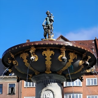 Tour privado de un día con guía de audio autoguiado en Copenhague 13