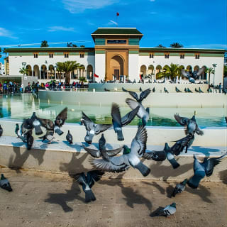 Bonjour Casablanca : Visite culturelle à pied de la Médina et au-delà 8