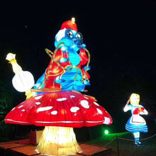 Alice in Magical Garden: espetáculo de luzes noturno by Ocubo 2