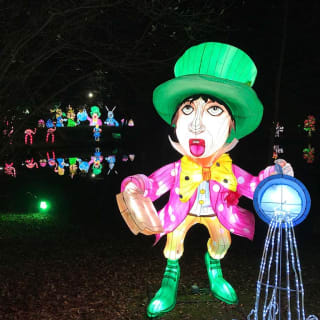 Alice in Magical Garden: espetáculo de luzes noturno by Ocubo 5