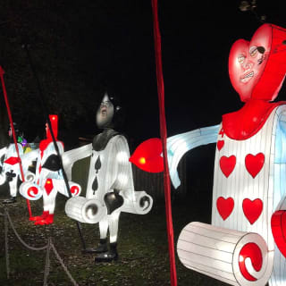 Alice in Magical Garden: espetáculo de luzes noturno by Ocubo 6