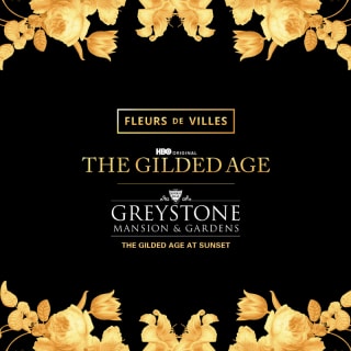 The Gilded Age at Sunset 1