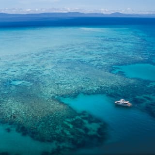 Ocean Freedom Great Barrier Reef Tour 5