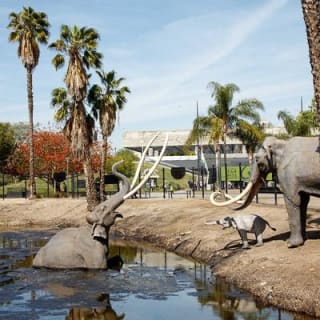La Brea Tar Pits and Museum Admission Ticket with Excavator Tour 1