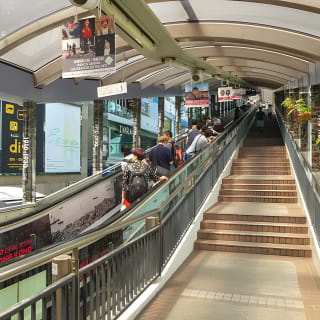 Victoria Peak: salita alla vetta tramite gli scaleelevatori Mid-Levels con un tour audio 2