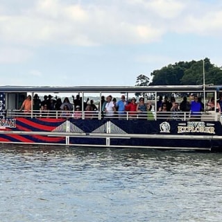 2 Hours Dolphin Eco Tour 2