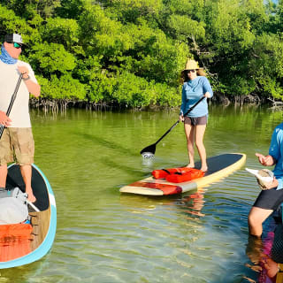 Dolphin and Manatee Adventure Tour in Fort Myers 10