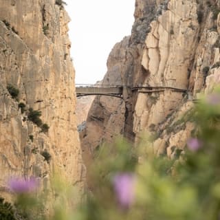 Caminito del Rey: Visita guiada en francés + Traslado de ida 1