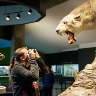 La Brea Tar Pits and Museum Admission Ticket with Excavator Tour 6