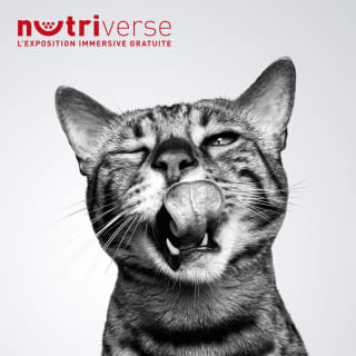 Nutriverse by Royal Canin® 6