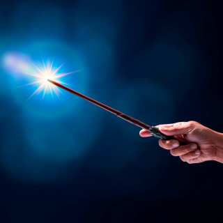 Harry Potter Experience - Waitlist 1