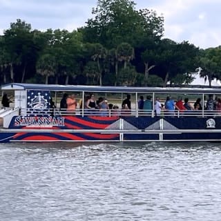 2 Hours Dolphin Eco Tour 5