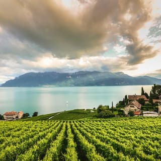 Excursión: Montreux, Chaplin's World y Castillo de Chillon 5