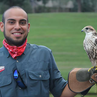 Colorado Springs Hands-On Falconry Class and Demonstration 1