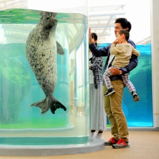 京都水族館: 入場券 1