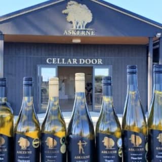 Deco Napier, Te Mata Peak, Wine & Cheese tasting 9