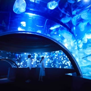 京都水族館: 入場券 2
