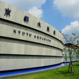 京都水族館: 入場券 3