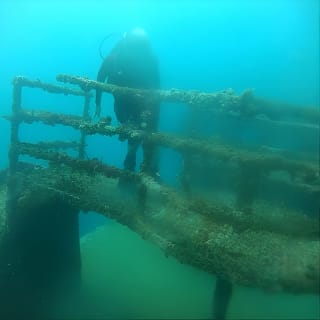 Bajo un mar de aventuras, inmersiones inolvidables. 6