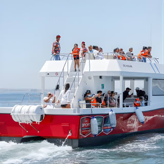 30min Harbour Boat Cruise Cape Town 1