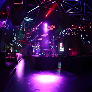 Miami Night: la massima esperienza di nightclub 9