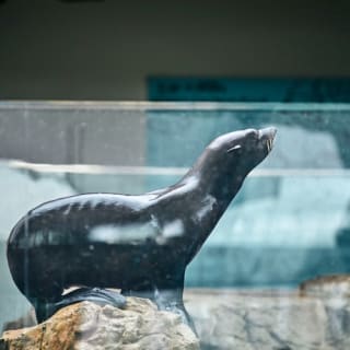 京都水族館: 入場券 8