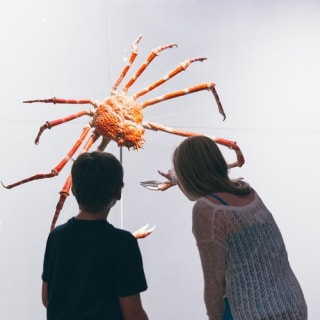 Musée royal de l'Ontario : Skip The Line 3