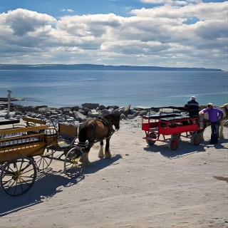 Inis Mór (Aran Islands) Day Trip: Return Ferry from Rossaveel, Galway 5