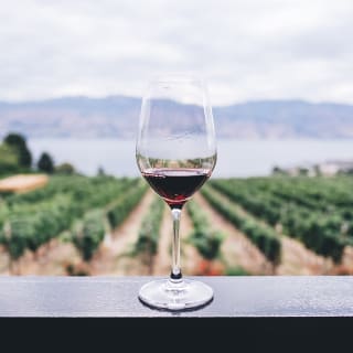 Curso online de gestión de enoturismo y visita a bodega 1