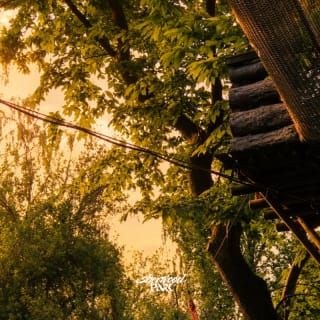 Avventura notturna a Sherwood Parc: arrampicata su rete e tiro con l'arco! 17