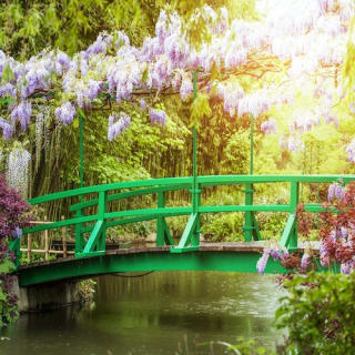 Jardins de Monet à Giverny : Visite guidée d'une demi-journée depuis Paris 3