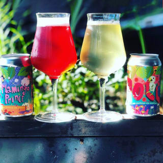 Yappy Hour: Hard Kombucha & Meet a Pooch (Includes Drink Delivery!) 3