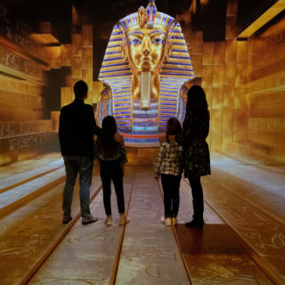 Tutankhamun: The Immersive Exhibition 9