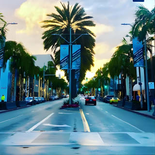 Beverly Hills Tour - Filmstar-Höfe und Los Angeles Sightseeing mit dem Elektrofahrrad 10