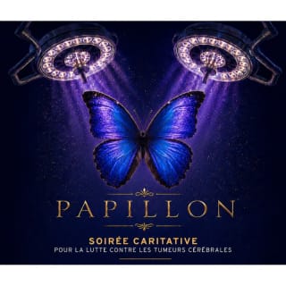 Papilon - soirée caritative 1